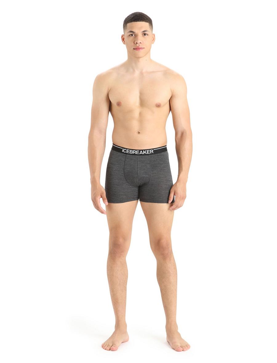 Men's Icebreaker Merino Anatomica Boxers Underwear Jet Heather | CA 1631VRWD